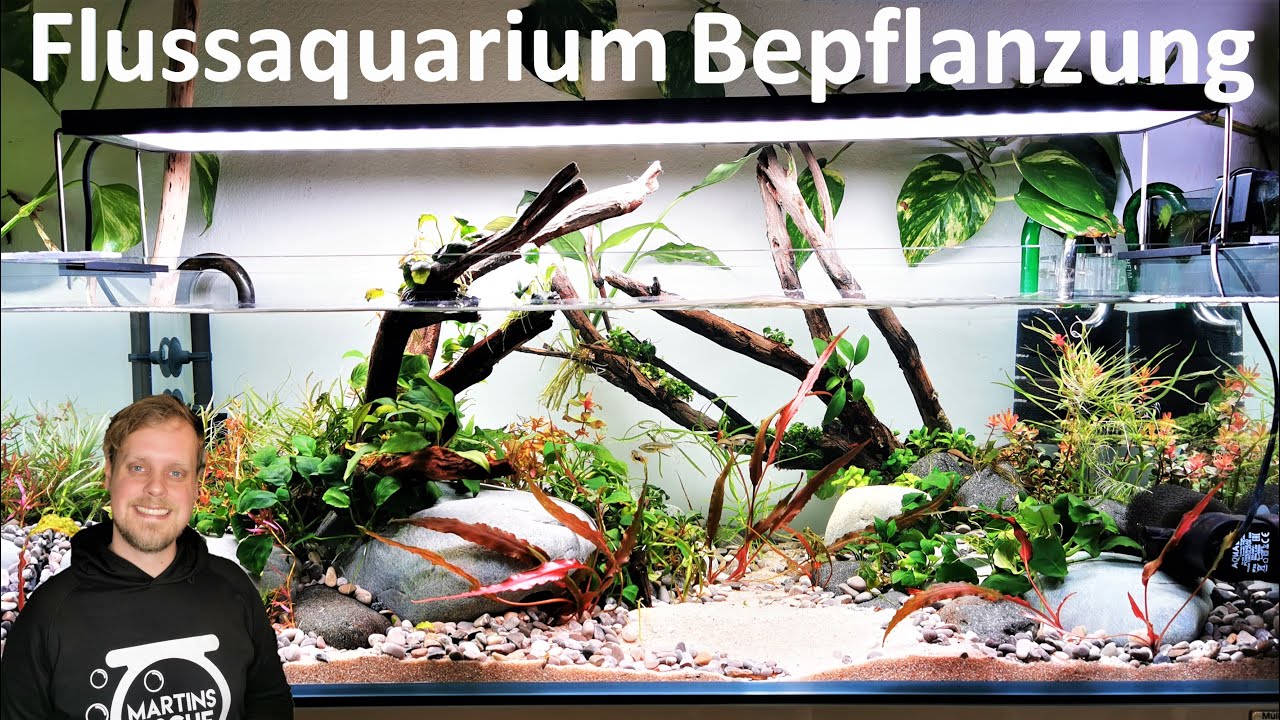 FLUSSAQUARIUM - Die Pflanzen kommen!
