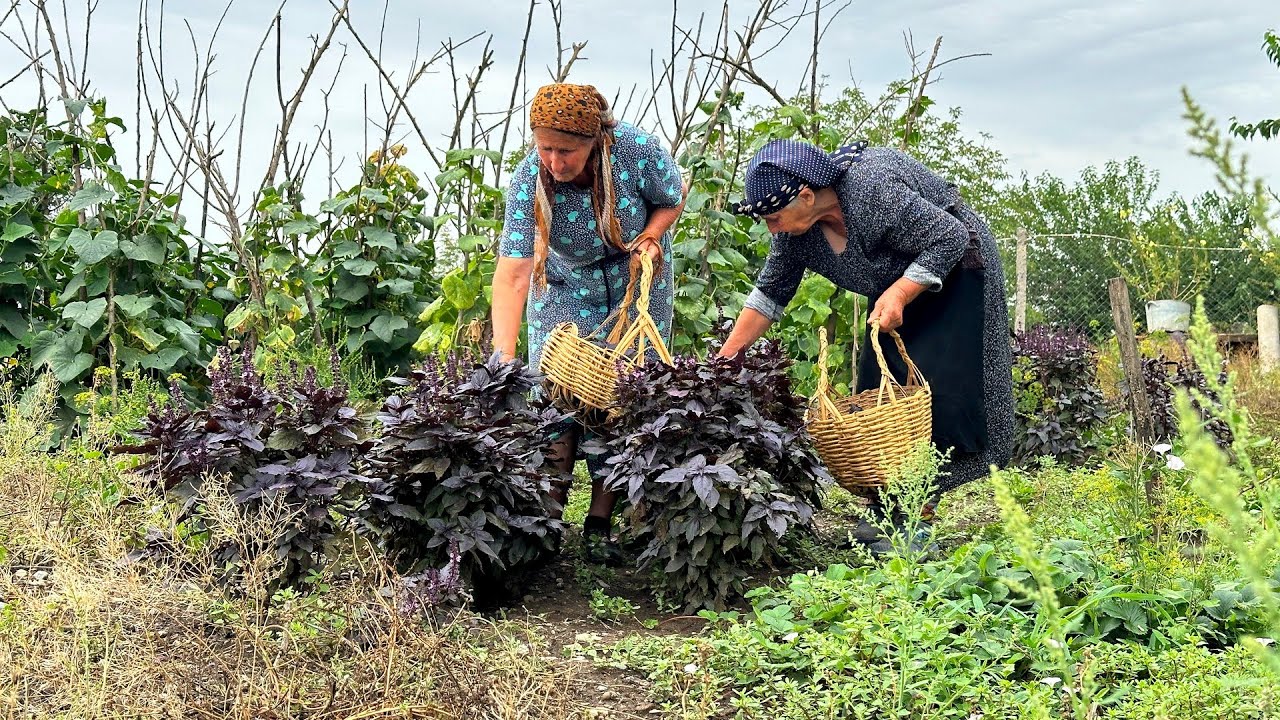Mountain Village on the Border with Russia: Organic Living Far from Civilization