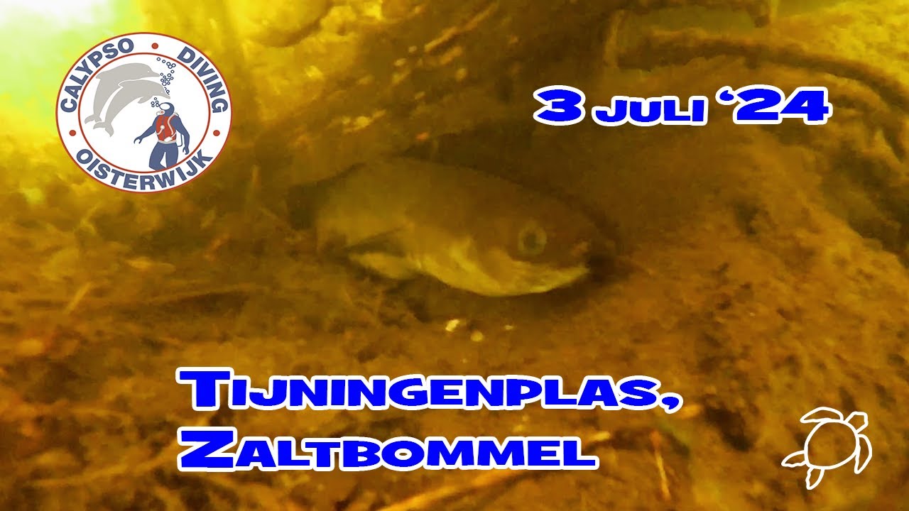 Tijningenplas, 3 juli 2024