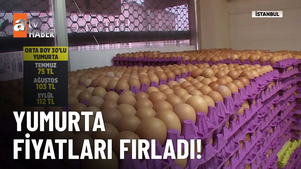Yumurtanın tanesi 4 lirayı geçti!  - atv Ana Haber 15 Eylül 2024
