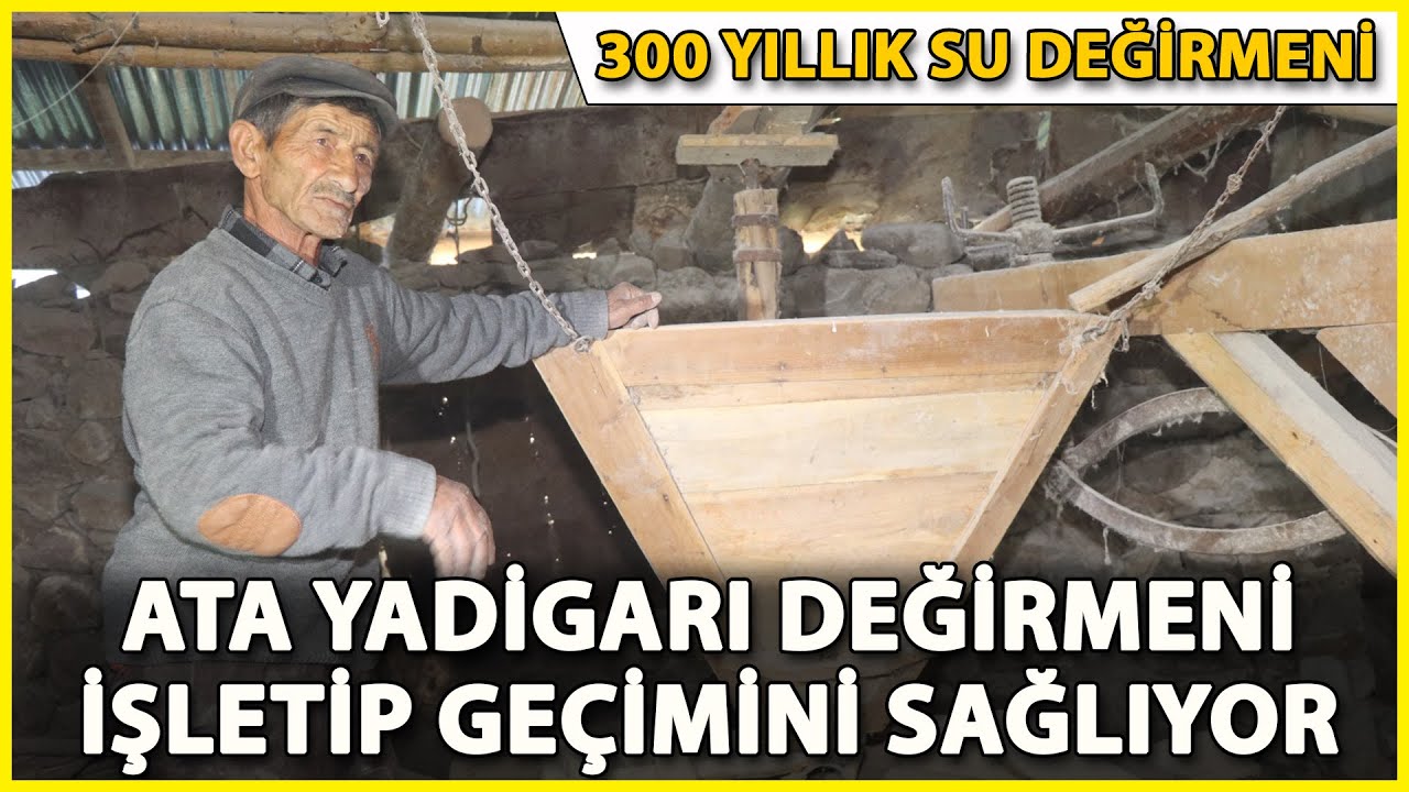 Dedelerinden Kalma 300 Yıllık Su Değirmeninde Buğday Öğütüyor