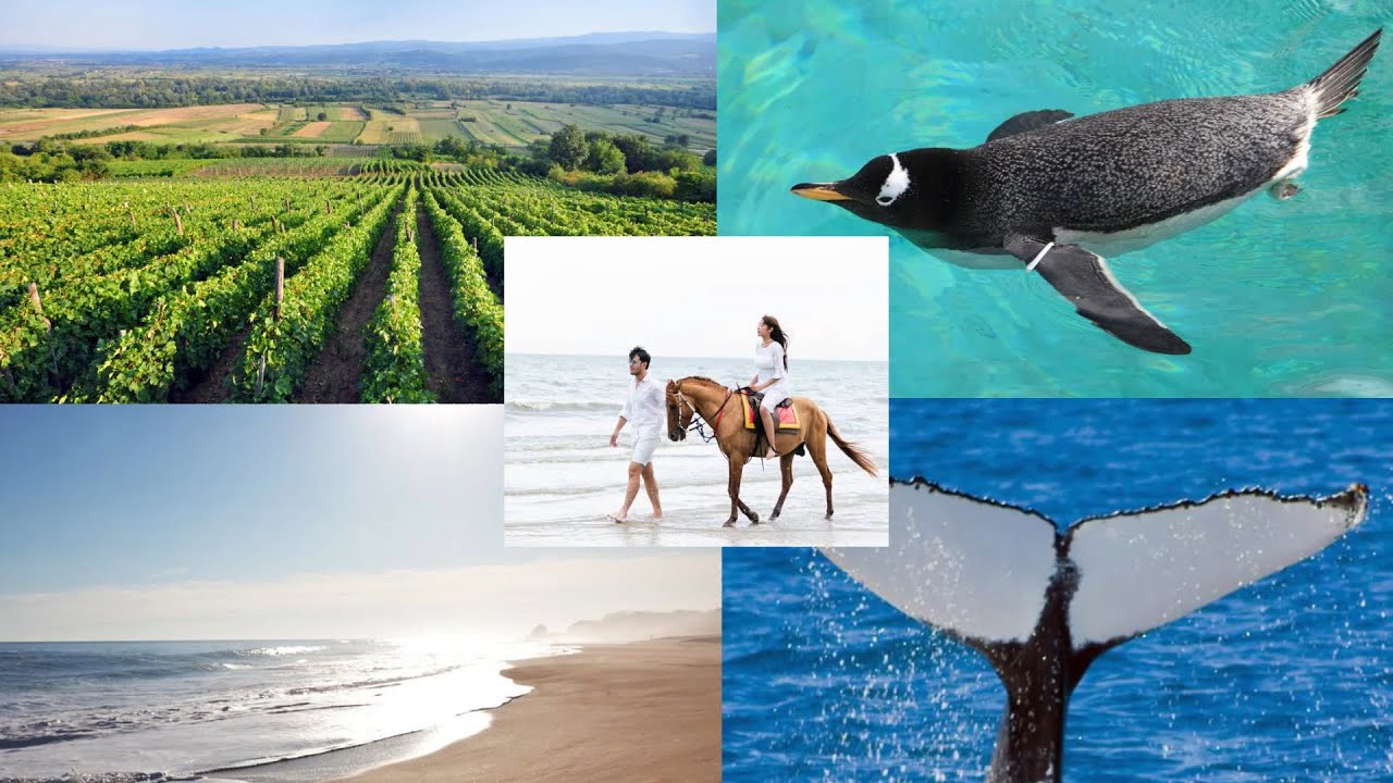 10 MUST DO activities | Overberg region South Africa