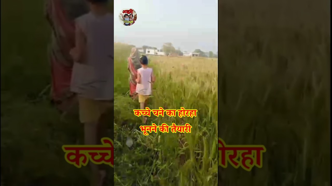 गाँव में कच्चे चने का होरहा 🔥 देसी स्वाद जो शहर में नहीं मिलता | #cooking #sorts #villagelife