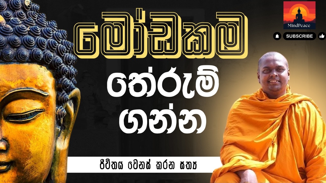 මෝඩකම තේරුම් ගන්න 🤔 | Modakama Therungann | Understanding Ignorance