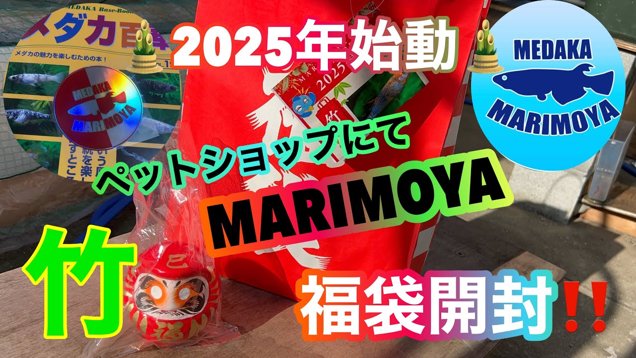 (メダカ)2025年始動！福袋から始めます😊今年もメダカを楽しみましょう❣️開封