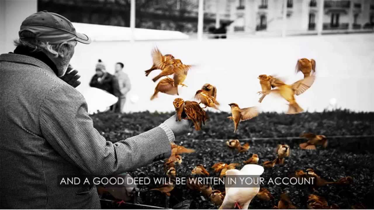 Warmth (Eng subs) | دفء - محمد المقيط | Muhammad Al Muqit