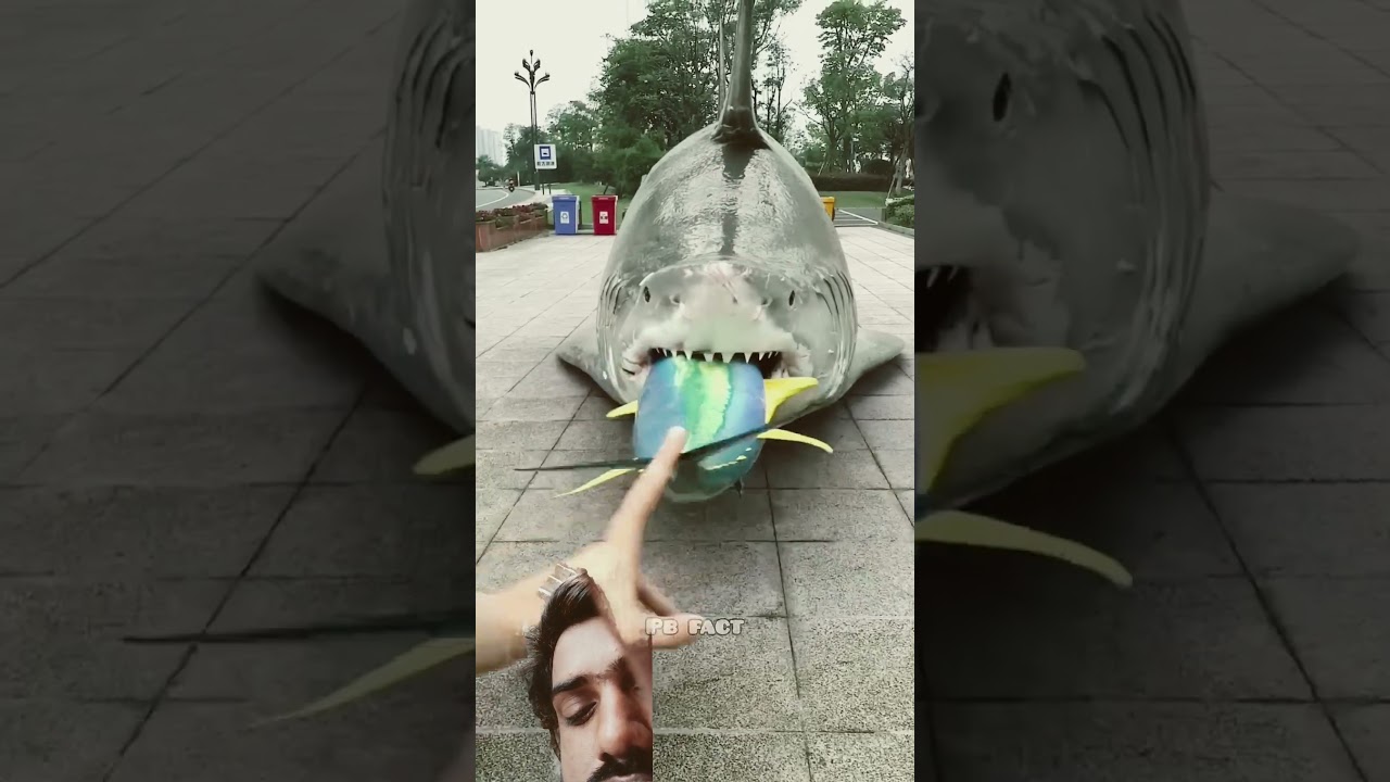 #funny #animals #cartoon #new #facts #vfxmahjabeen #funnycartoon #comedy #motupatlunewep,😱😱😱