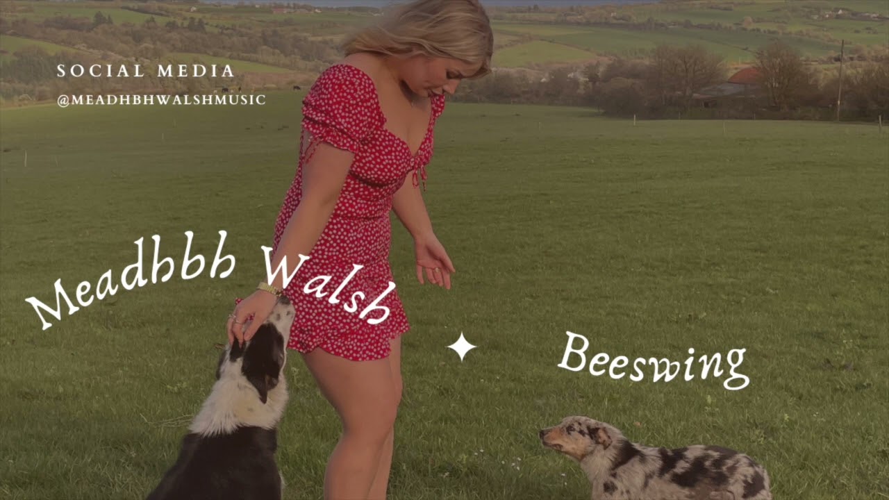 Beeswing- Meadhbh Walsh