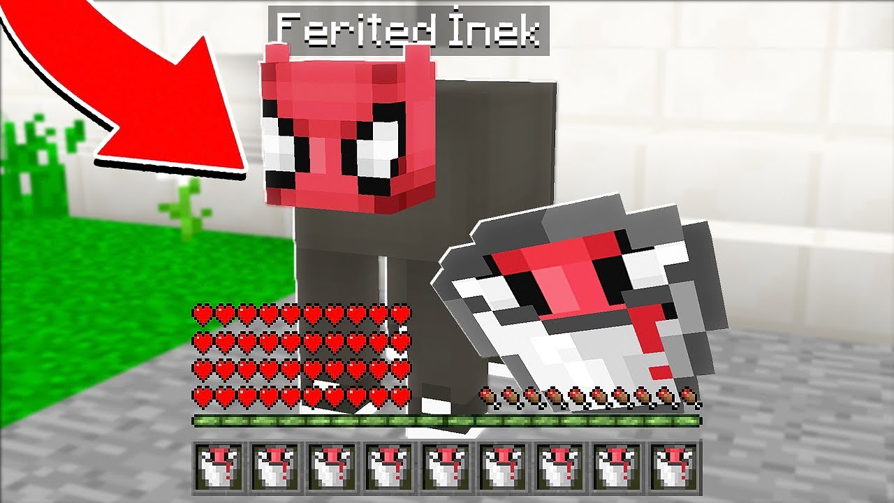 FERİTED VS MİNECRAFT #31