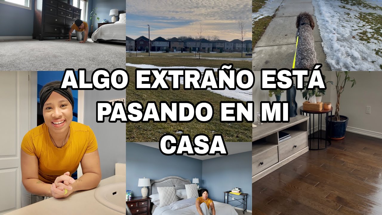 🤔LA BUSQUÉ POR TODOS LADOS Y DESAPARECIÓ EL DÍA ESTÁ HERMOSO, FUI A CAMINAR CON COCO 🌴 