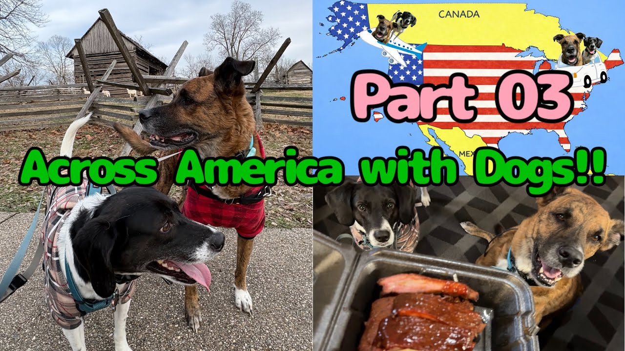 🐶Across America with Dogs🐶🇺🇸Part03 | Ohio - Indiana - Illinois | Lincoln Log Cabin | Vlog