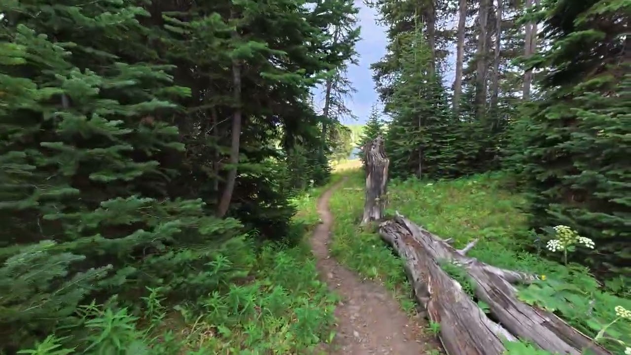 Road to Recovery, Observation Peak Trail Yellowstone