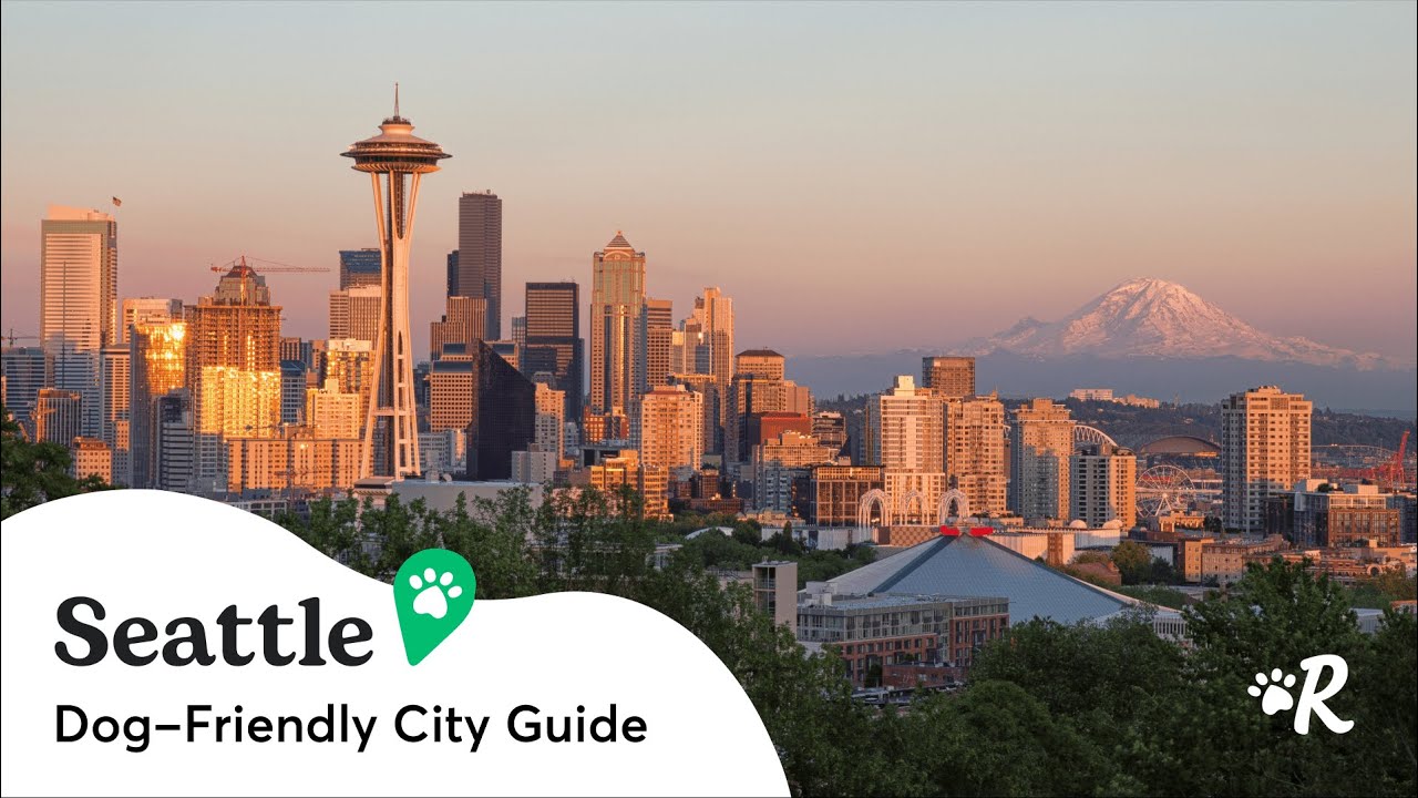 Seattle Dog-Friendly Guide: Best Pet Hotels, Restaurants & Parks | Rover