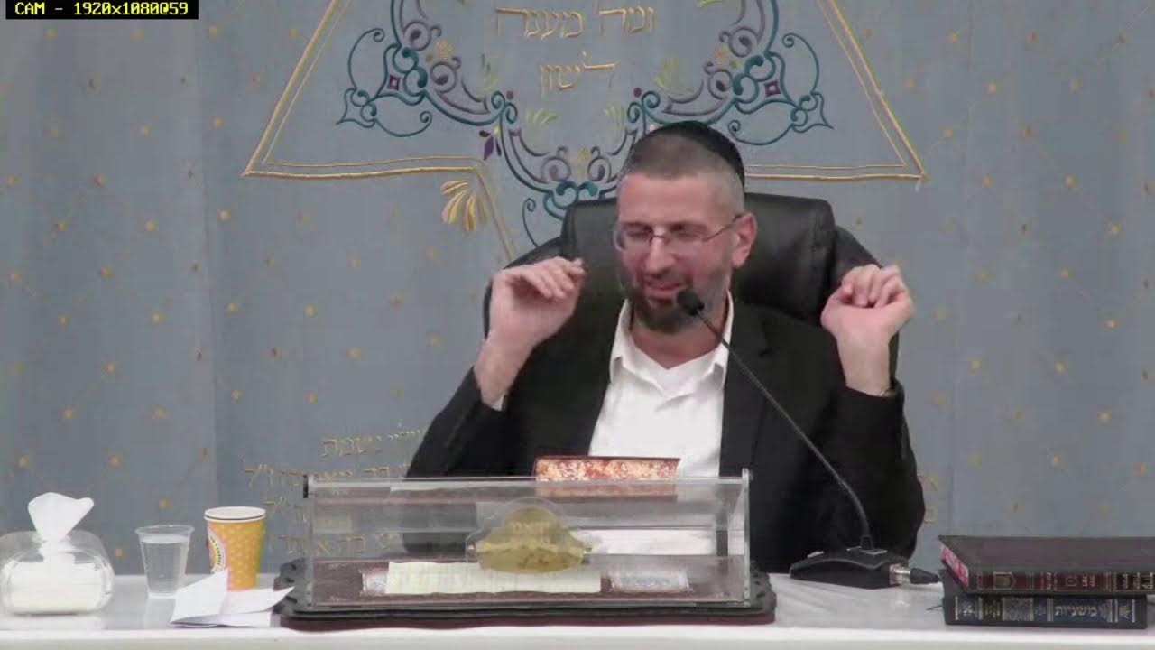 הרב רפאל רובין - רמב