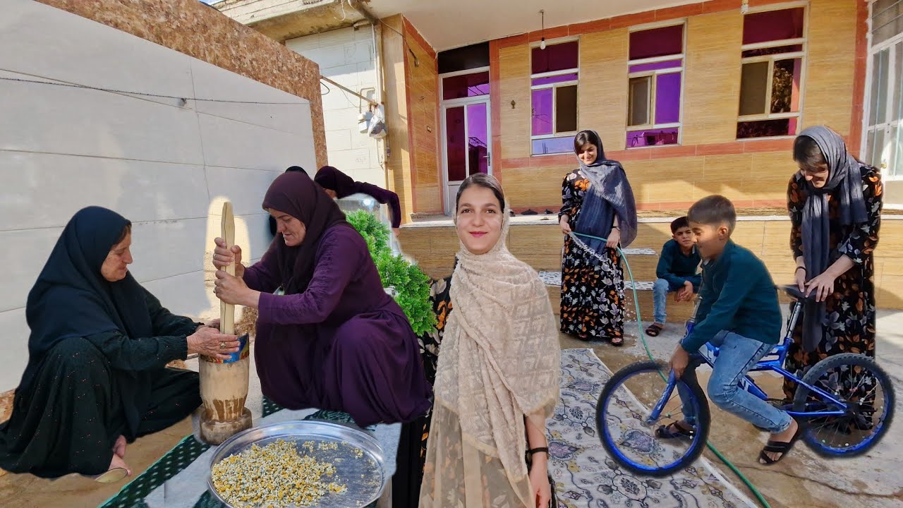 Nomadic life:Nomadic healer grandmother teaches how to make traditional herbal medicine 🌿