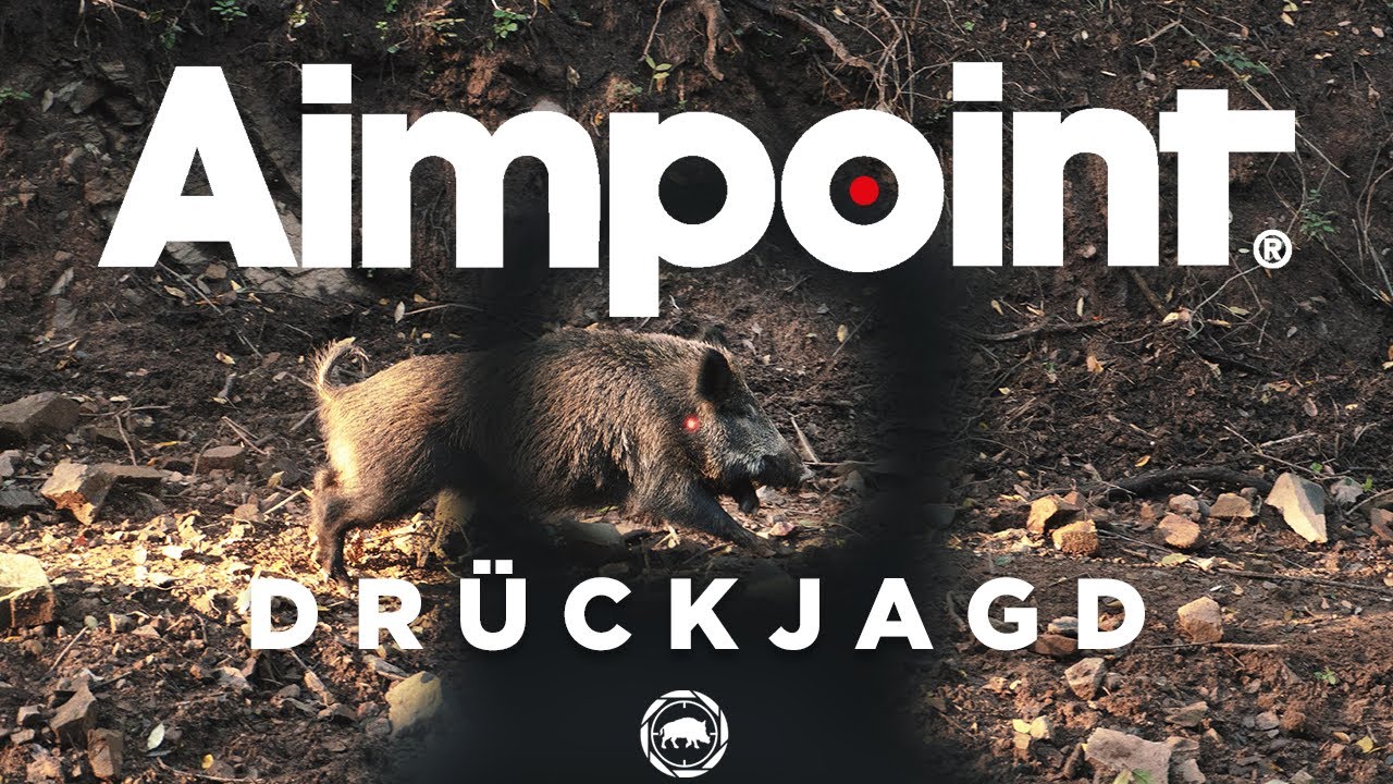 Drückjagd bei Aimpoint | Jagd der Spitzenklasse auf 5000 ha