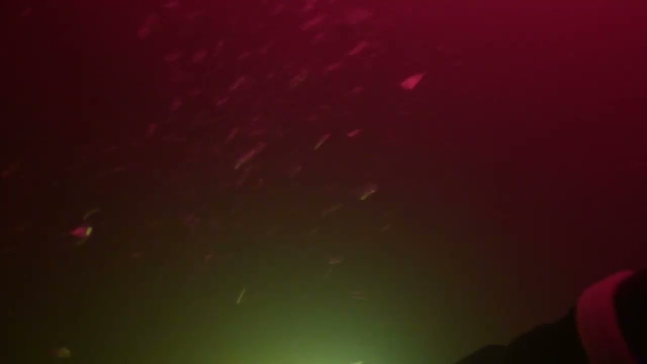 Treasure Diving ain’t easy 