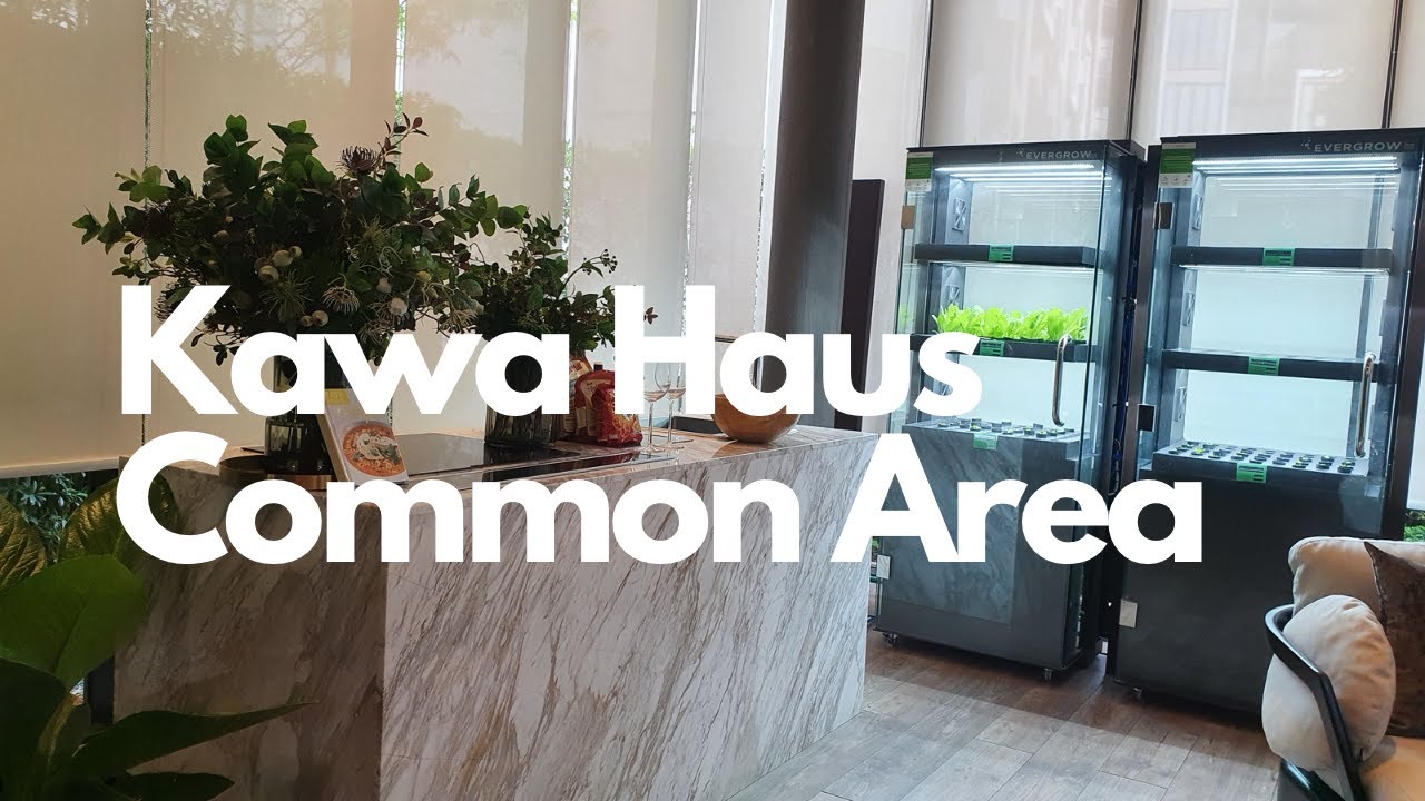 kawa Haus Common Area