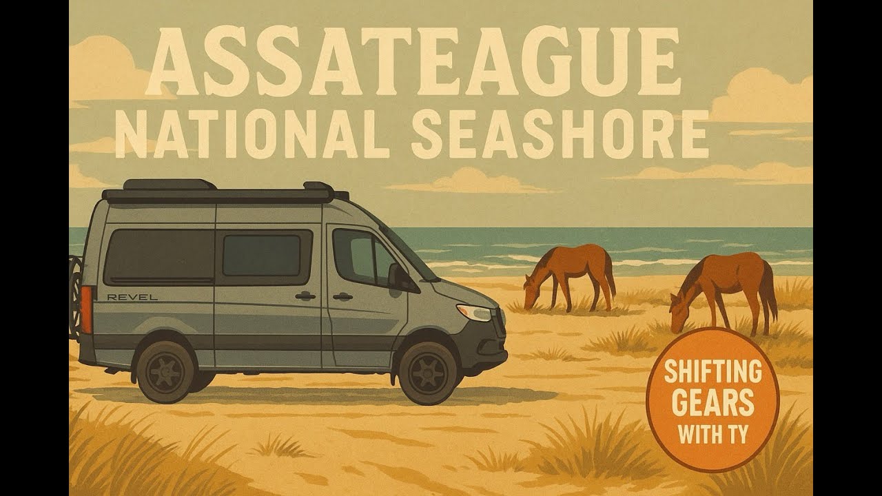 What’s It Like Camping With Wild Horses Nearby?