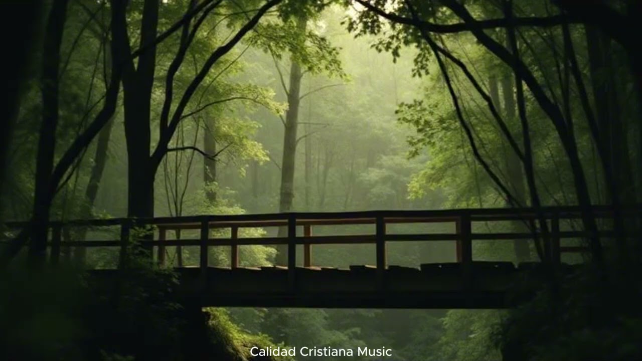 No Me Rendí - Calidad Cristiana Music