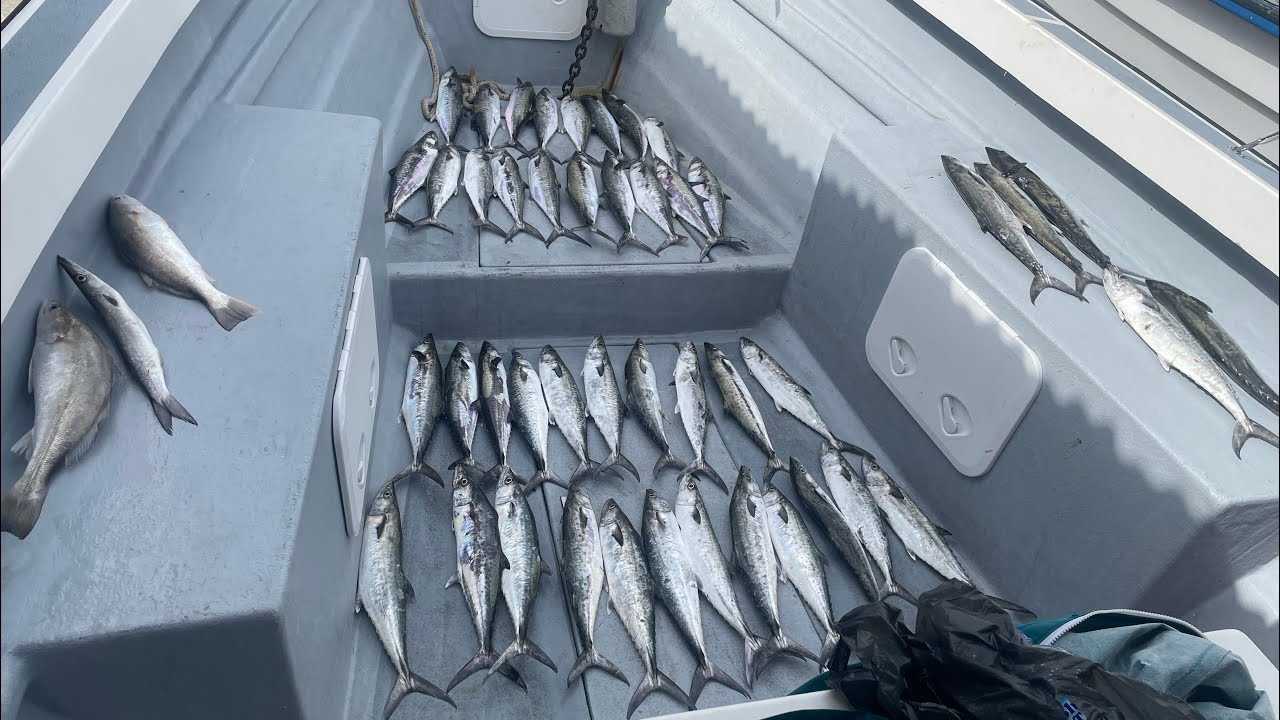 A LA VIVE Fishing in La Brea for King Mackerel ! On the Sips and Scales, Captain Matthew, Trinidad.