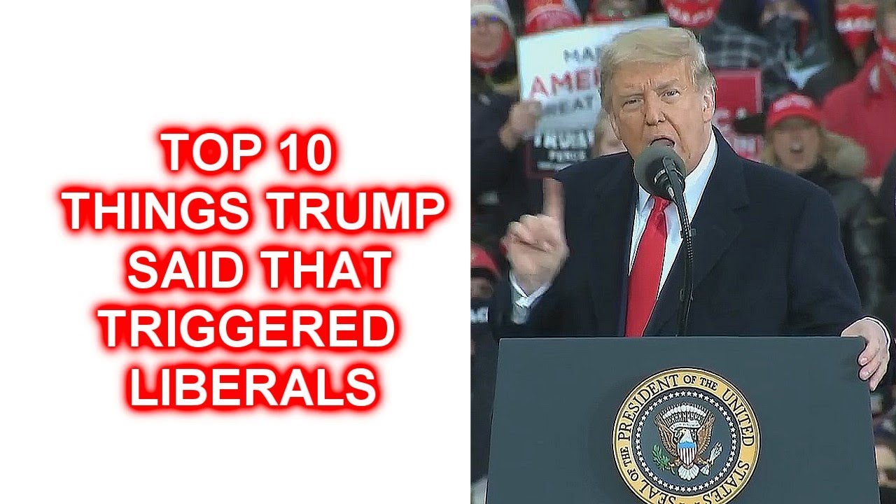 Top 10 Things Trump Said in Michigan that Triggered Liberals