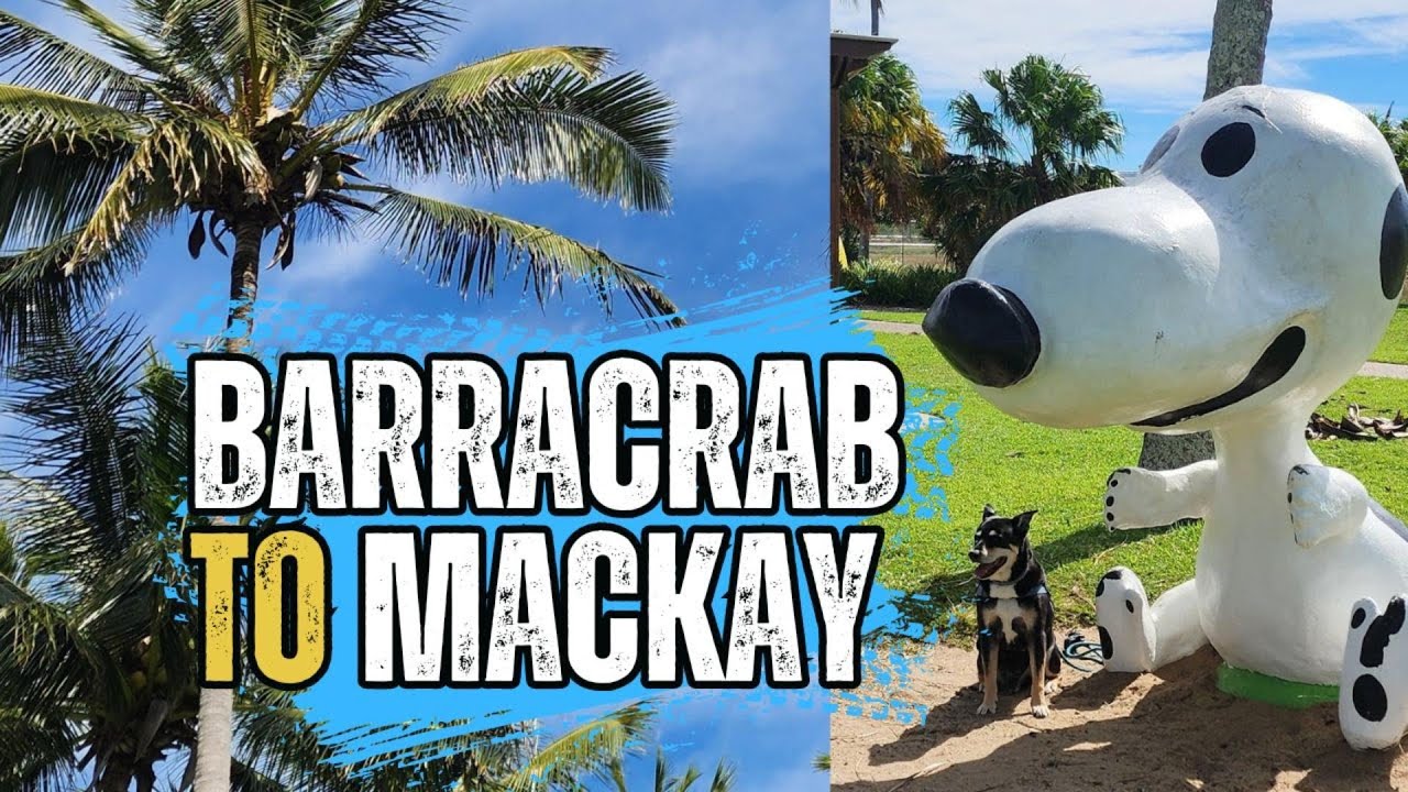 BARRACRAB! Plus Mackay! - Australian Caravan Adventure with a dog EP31
