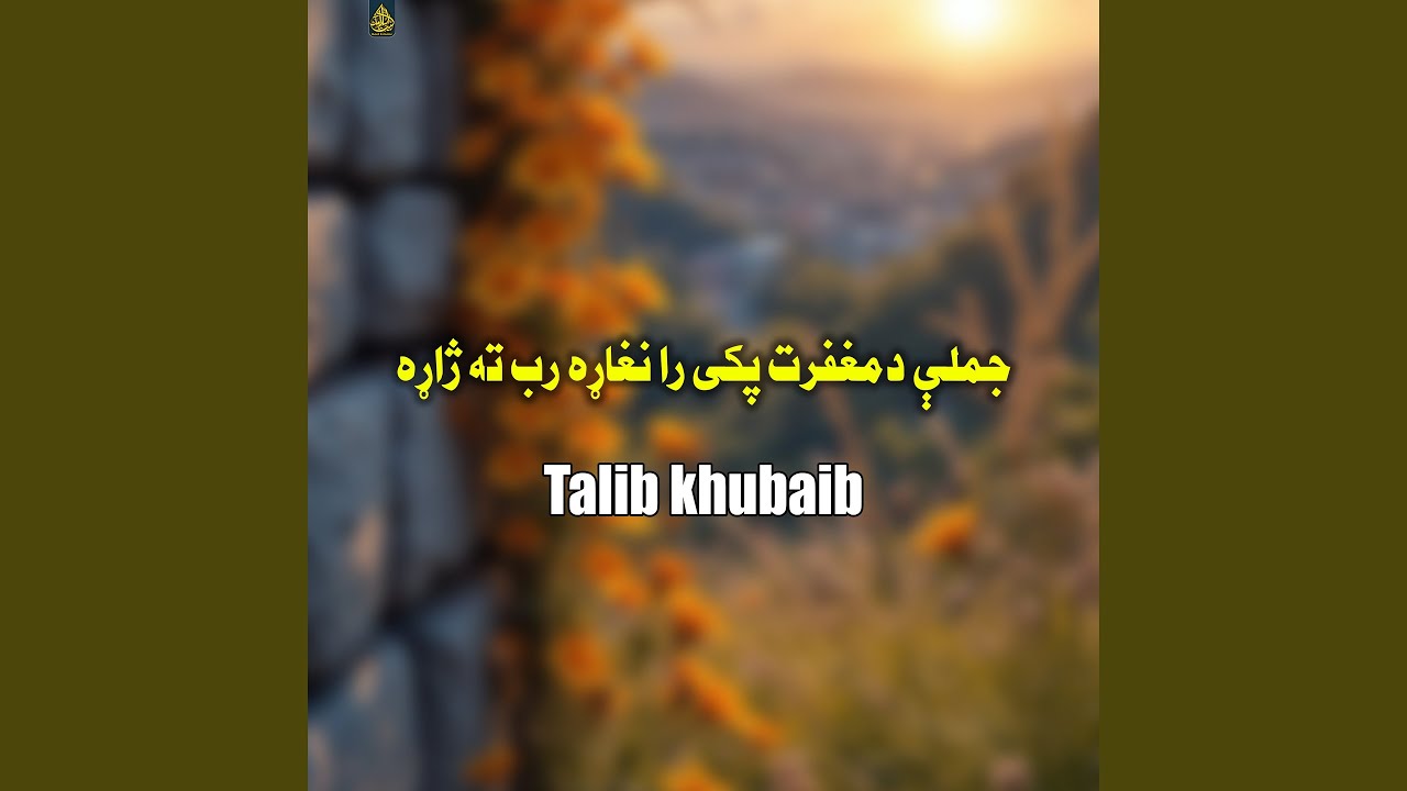 پاڼی پاڼی