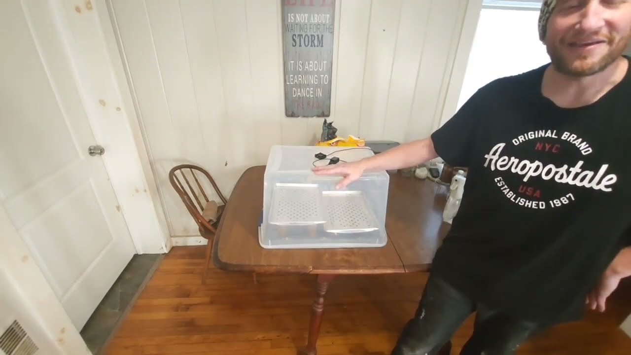 DIY Mushroom Fruiting Chamber Build | Simple and Effective Method