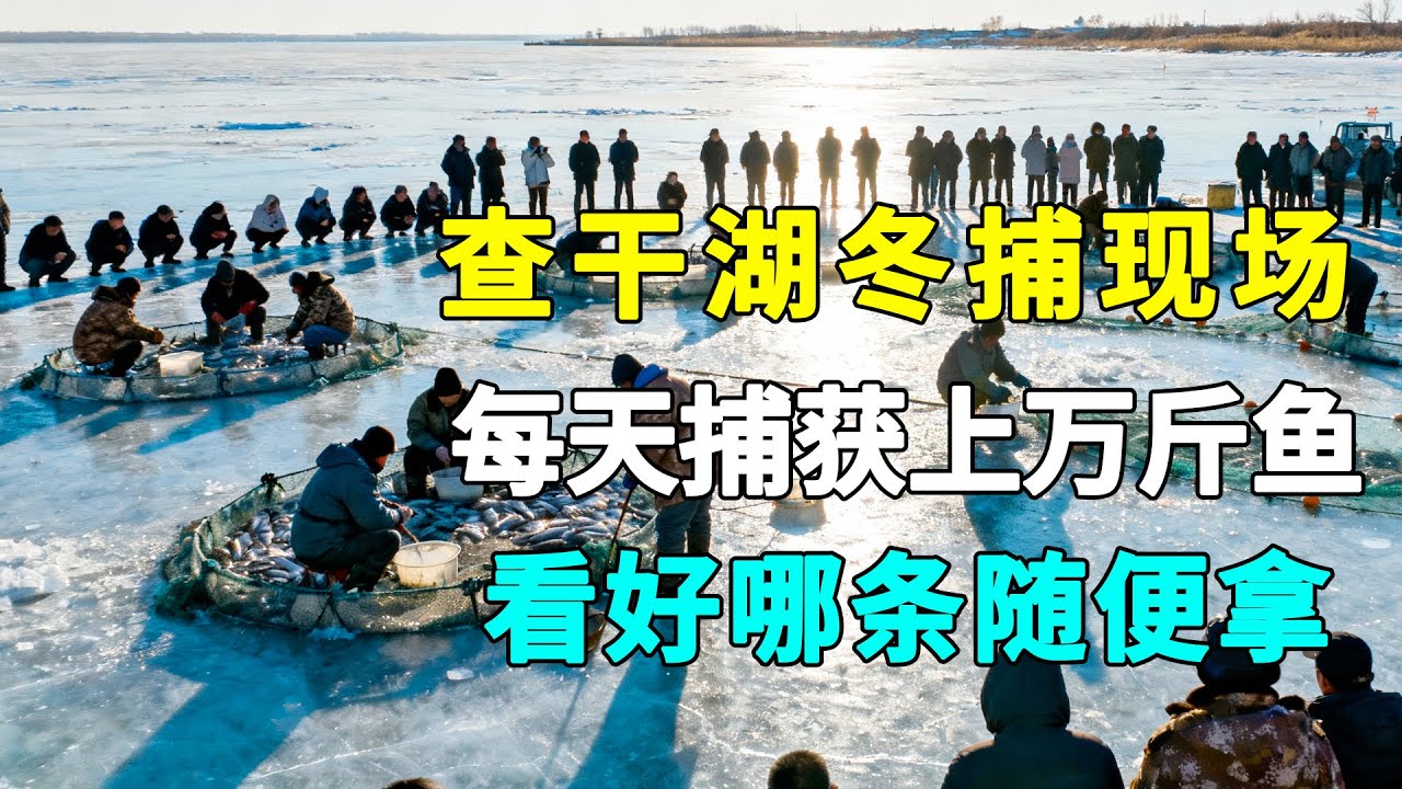查干湖冬捕现场，每天捕获上万斤鱼，看好哪条随便拿，在冰面是如何捕鱼的？#纪录片#冬天捕鱼【中国记忆】