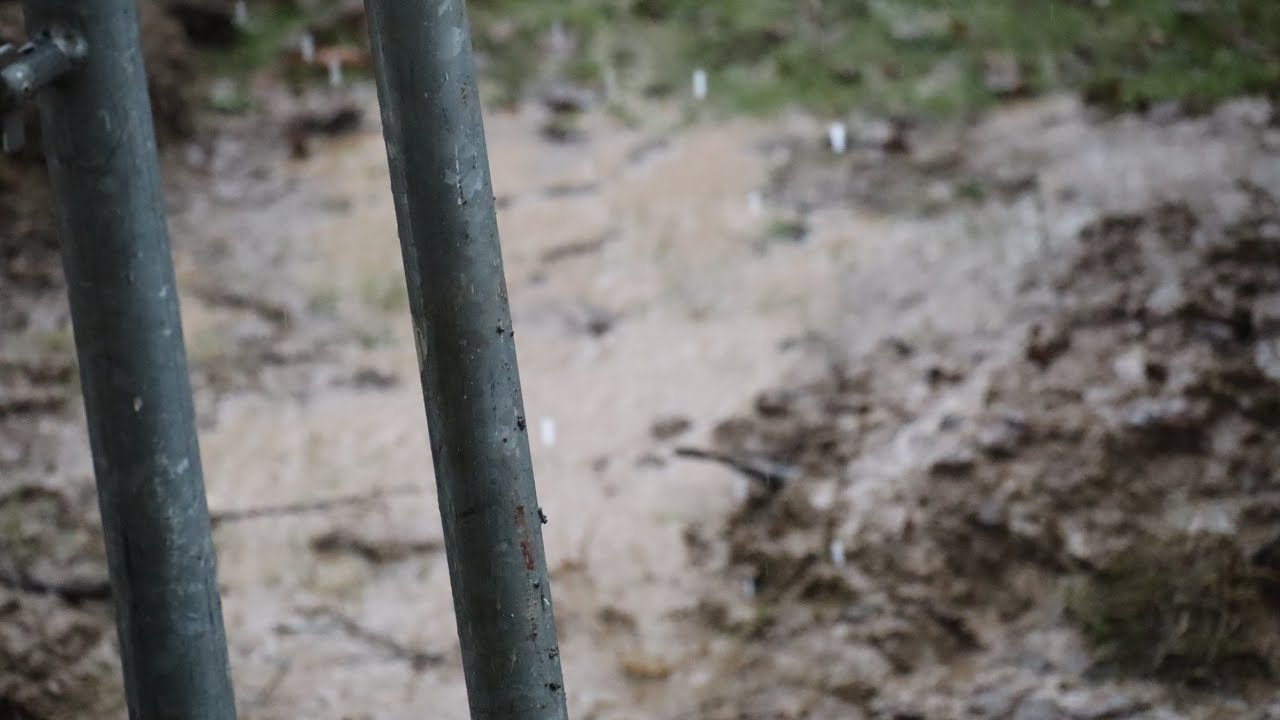 Gentle Rain Falling in a Quiet Park 🌧️ | Calm Nature Ambience