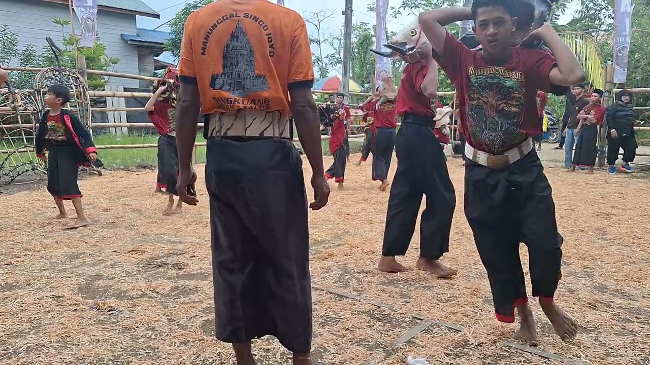 Edisi Siang ~ Kalapan Manunggal Singo Joyo Junior 14/02/2026 