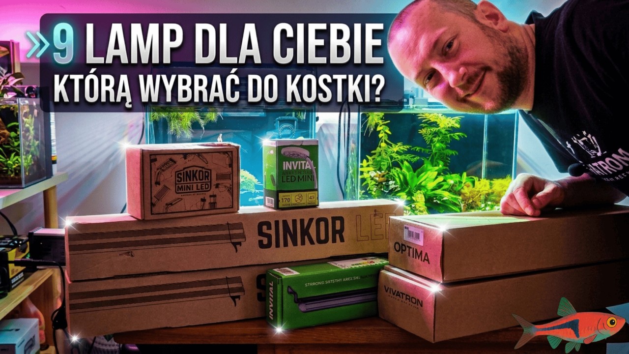 Jaka lampa do małego akwarium? Wybrałem 9 modeli, kt&oacute;re warto kupić!