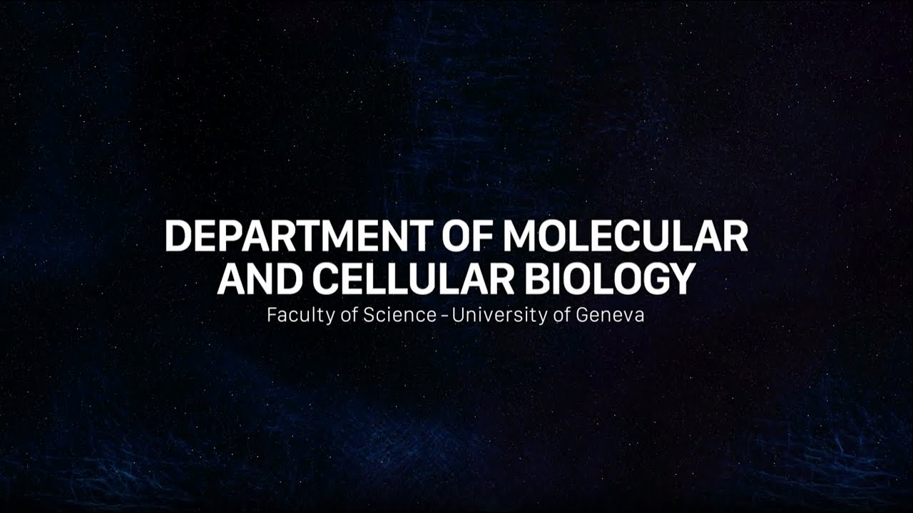 Department of Molecular and Cellular Biology (UNIGE)