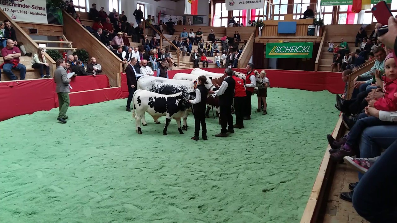 Pustertaler-Sprinzen