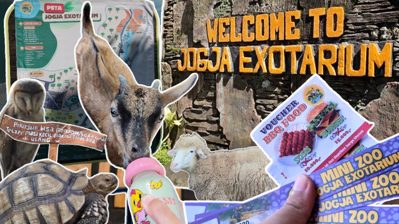 Mini Zoo Jogja Exotarium | Kebun Binatang Sleman - Yogyakarta - Indonesia