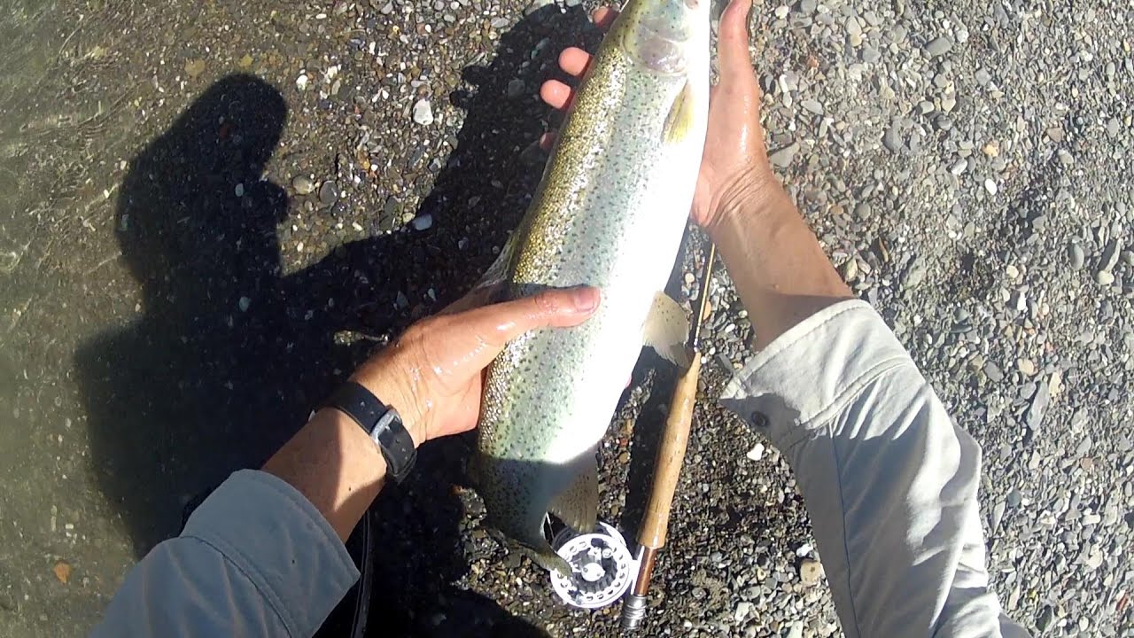 Pesca a mosca sommersa - Riserva di Savignone - Pesca a mosca - Fly fishing