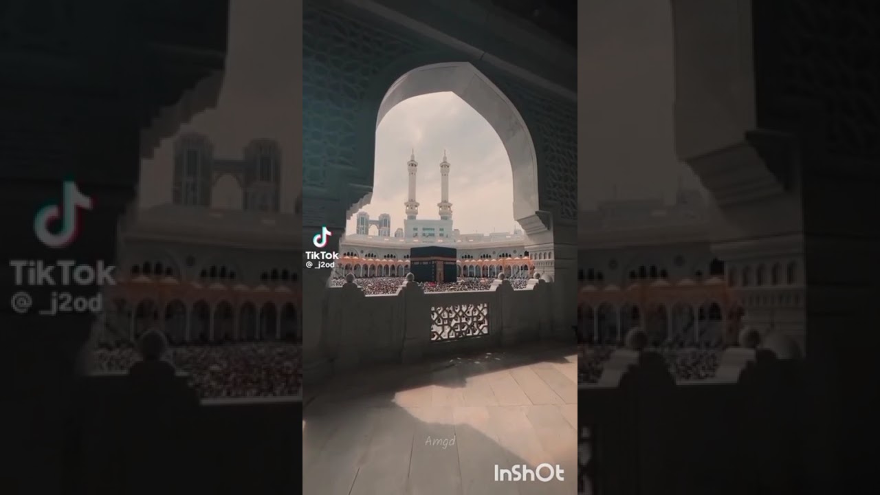 مختصر تلاوة القرآن وطلب العلم