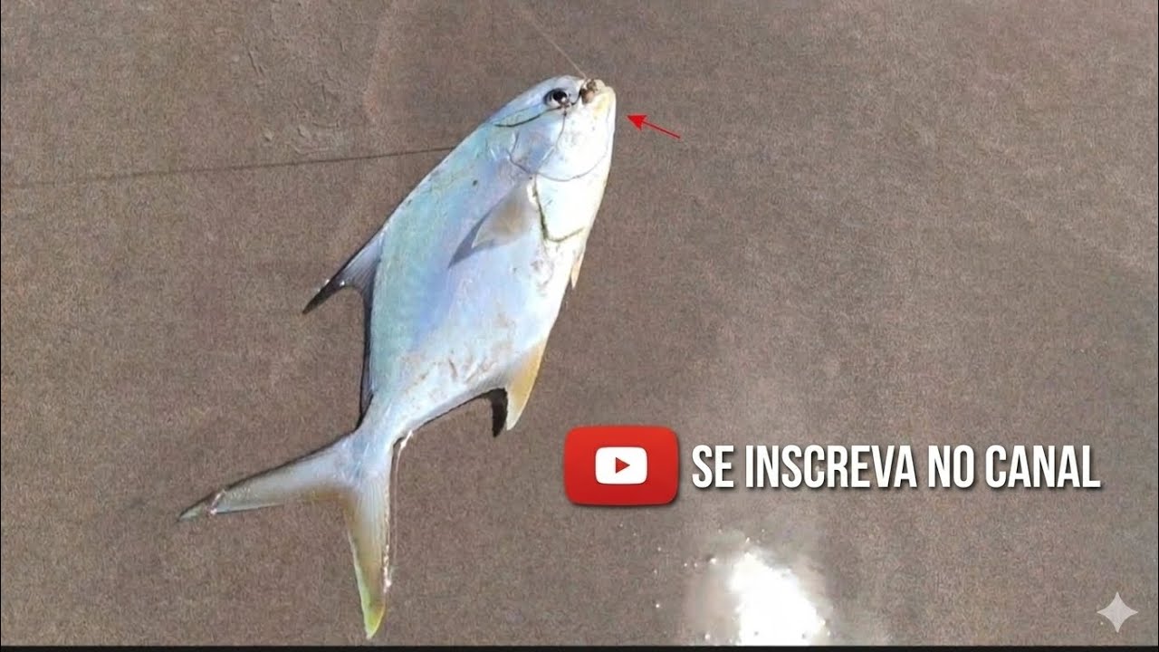 PAMPO BATEU NA PESCARIA DE PRAIA 🏖️