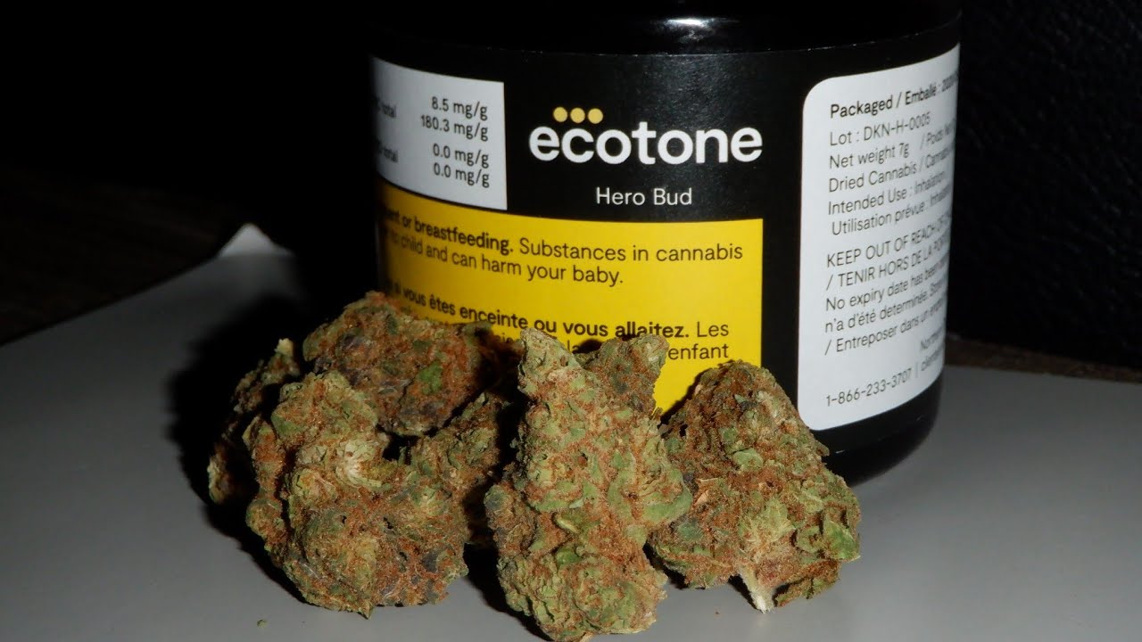Strain Review Hero Bud (Duke Nukem) By ecotone