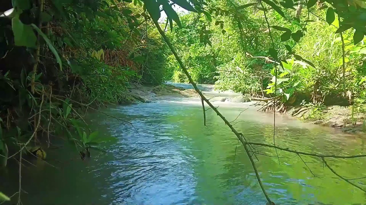 Live River Sounds for Deep Sleep, Focus & Relaxation | No Talking Nature ASMR