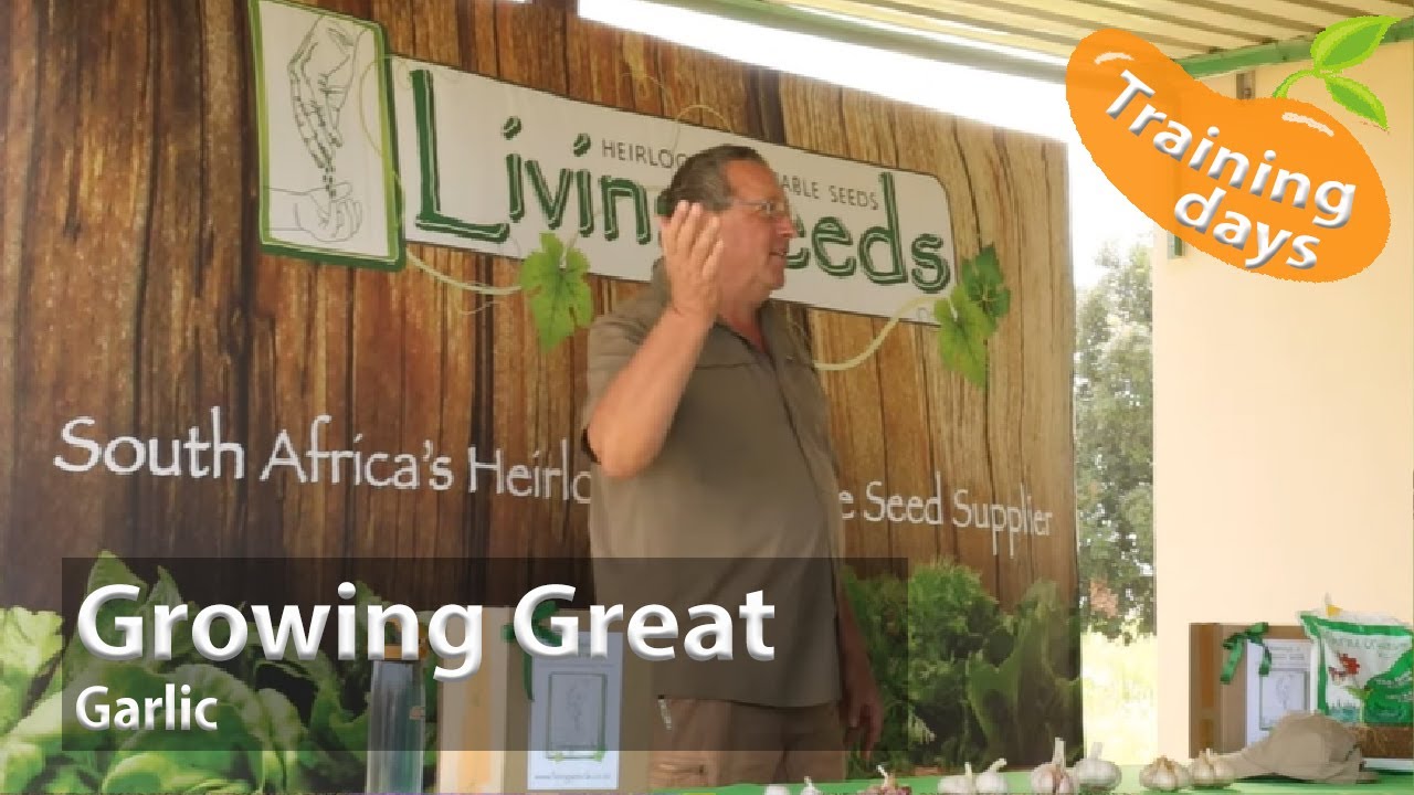 FREE Training: Growing Great Garlic