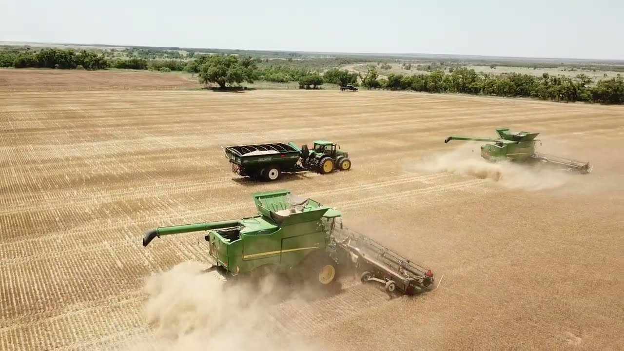 JKD Harvest 2022