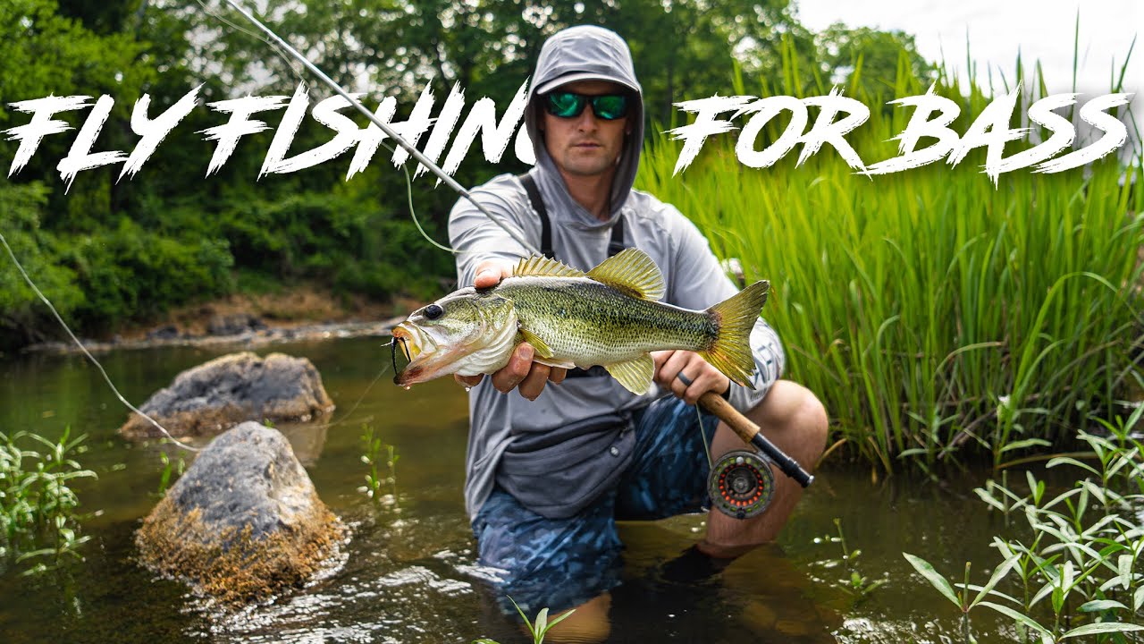 FLY FISHING for BASS in HIDDEN RIVER POOLS