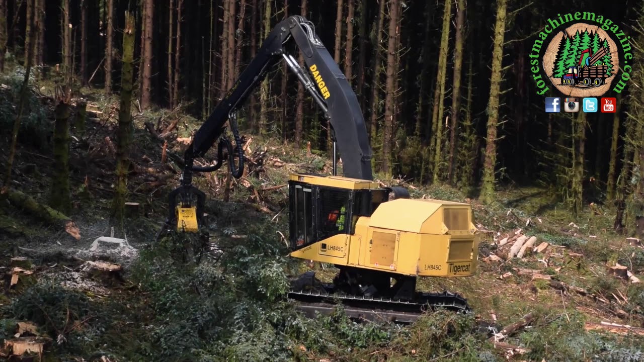 Ponsse H8/Tigercat harvesting Sitka Spruce