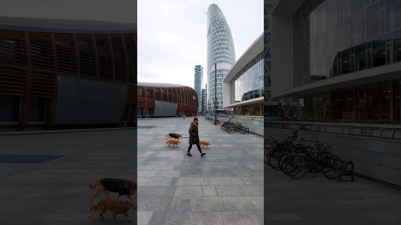 Morning vibes in #Milan. Porta Nuova