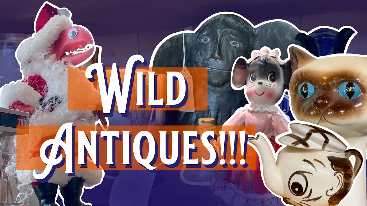 WILD ANTIQUES IN MAINE | Shop With Us & Haul