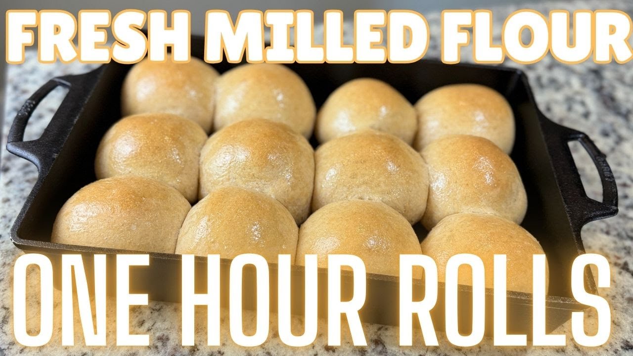 One Hour Fresh Milled Flour Rolls 100% Whole Wheat Recipe Homemade Bread FMF Freshly Ground Grain