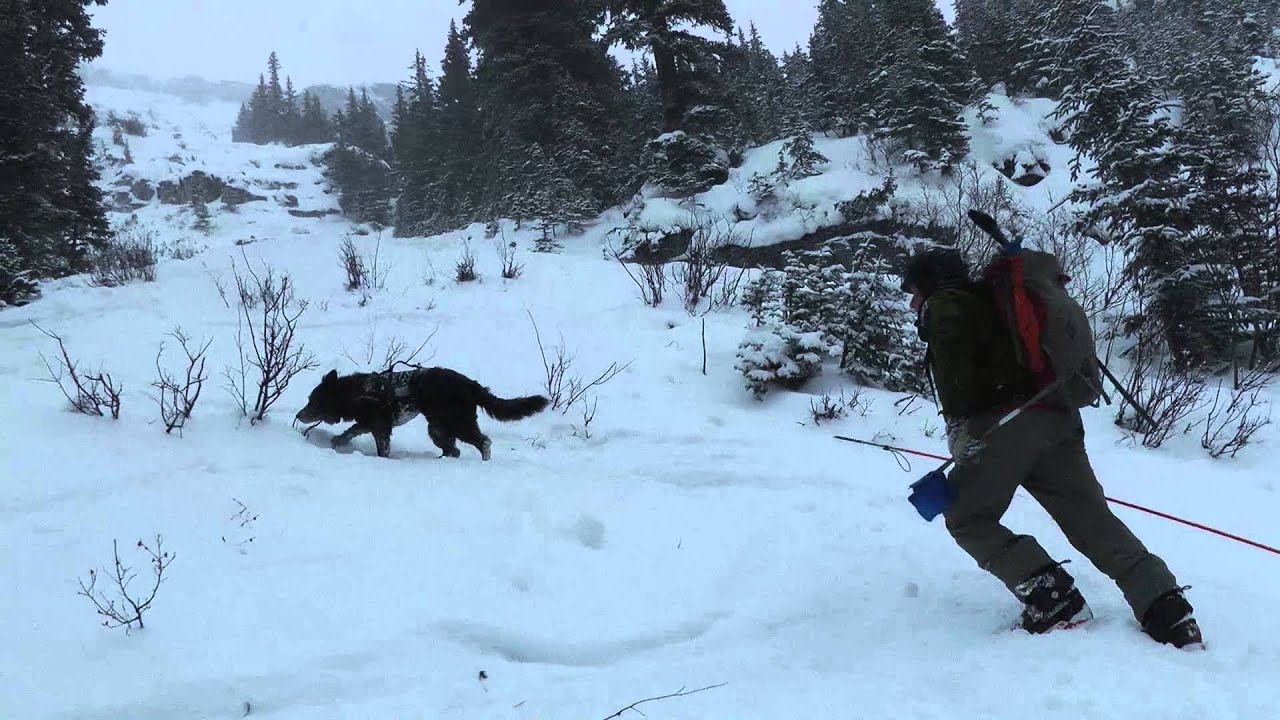 Banff National Park - Avalanche Rescue