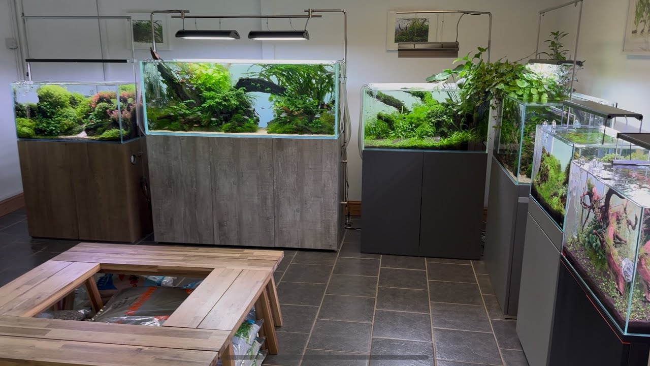 Aquarium Gardens Aquascaping Showroom Update, April 2025, Aquascape Gallery Tour